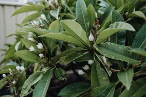 Image of Valley View Home - Barrel Sauna, Woodfired Pizza Oven, Firepit, Kids Playset