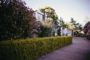 Image of An der Kastanie
