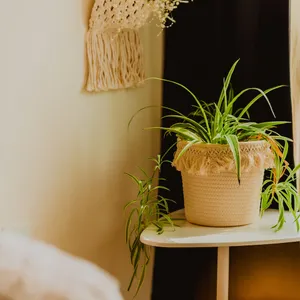 Image of Very Cosy Apartment