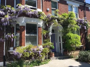 Image of The Lilac Door
