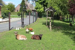 Image of Bed & Breakfast in ons Bakhuis