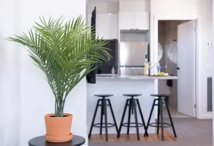 Image of Silversands Beach Cottage