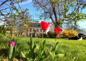 Image of Le Petit Manoir De La Vernelle B&B