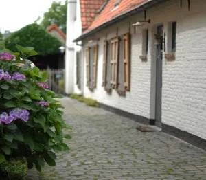 Image of Flemish Cottage