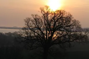 Image of Reethus Stöfs
