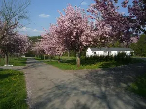 Image of Le Brissoneau Rendeux