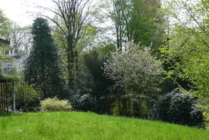 Image of Ferienwohnung am Krippenhof