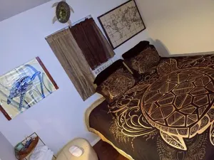 Image of Turtles Place