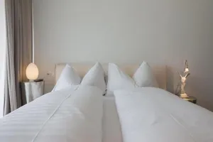 Image of Edelweiss Mountain Suites 04-01