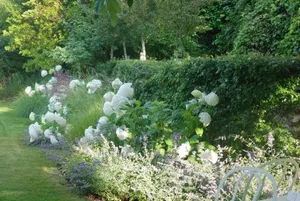 Image of Le Pavillon de la Lanterne