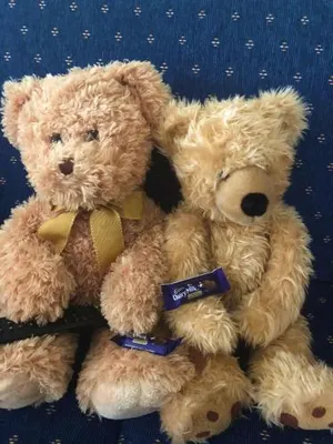 Image of Admurraya House Bed & Breakfast