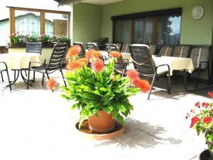 Image of Gästehaus Steininger