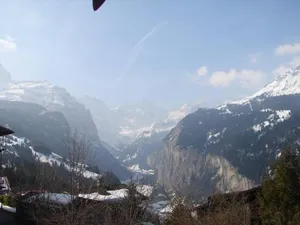 Image of Chalet Gerbera