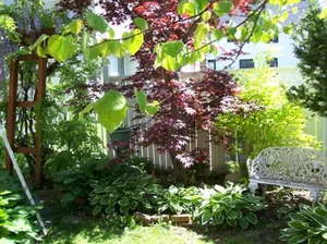 Image of Twenty Woodlawn Bed And Breakfast