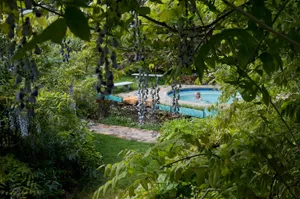 Image of Vichy Springs Resort