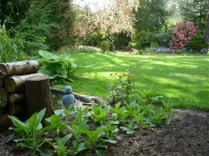 Image of au vieux cèdre