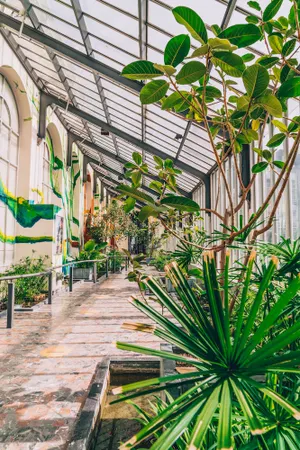 Image of Villa Botanique Guesthouse