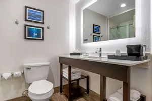 Image of Holiday Inn Express Greer Taylors at US 29