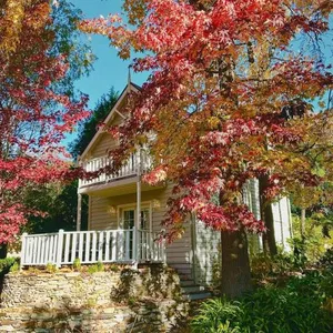 Image of Aldgate Creek Cottage