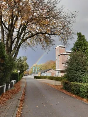 Image of B&B Silogie