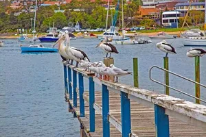 Image of Sandpiper Motel Ulladulla