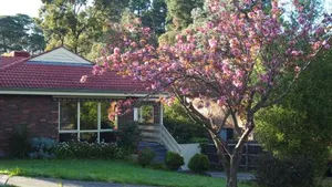 Image of No 96