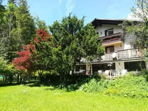 Image of The Treehouse Backpacker Hotel