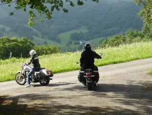 Image of Callari Park