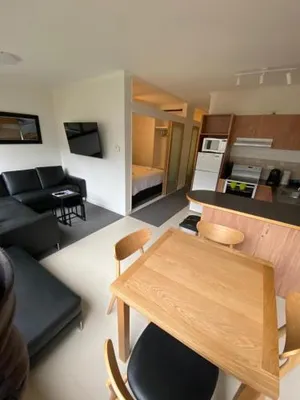 Image of Snow Ski Apartments 05