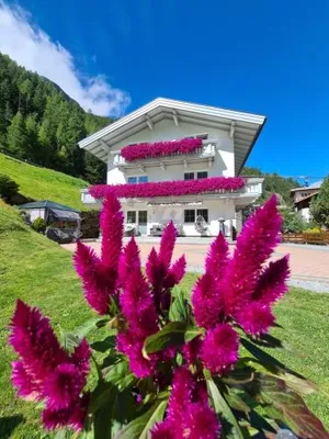 Image of Appartement Skorpion