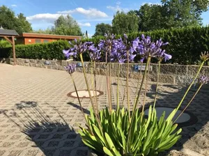 Image of Kaitzbach-Idylle
