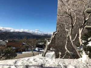 Image of Twin Towers 504 B