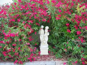 Image of Ashwood Park Bed and Breakfast