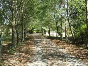 Image of Still Waters