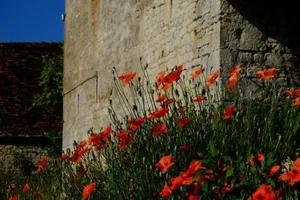 Image of La ferme de Roquedure