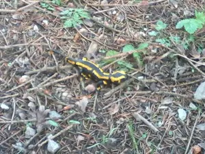 Image of Frauenpension Arleta - Women only