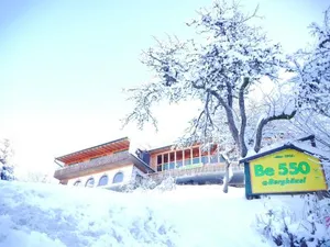 Image of Be 550
