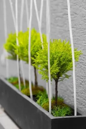 Image of Gîtes Schwendi - Quartier Petite Venise