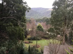 Image of Shady Brook Cottages