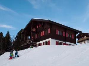 Image of Chalet Gerbera