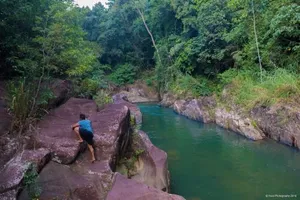 Image of Jungle River
