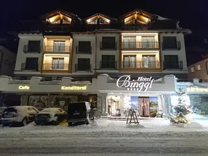 Image of Hotel Binggl