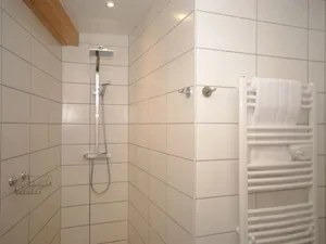 Image of Luxurious Holiday Home in Delain With Jacuzzi
