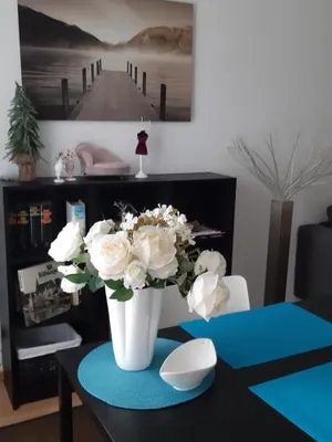 Image of City Apartment Tübingen-Lustnau