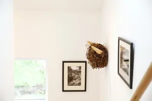 Image of Dunmurray Lodge Guesthouse and Loft Apartment
