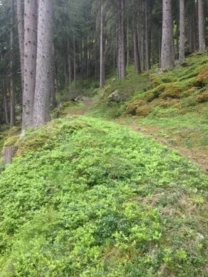 Image of Ögghof 222
