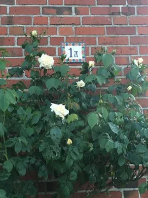 Image of Ferienwohnung Südel