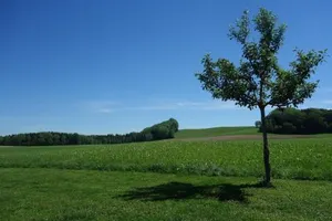 Image of Ferienwohnung Katzheim