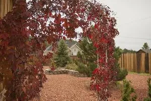 Image of Grand Canyon Bed and Breakfast