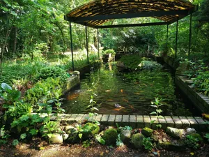 Image of B&B De Witte Raaf